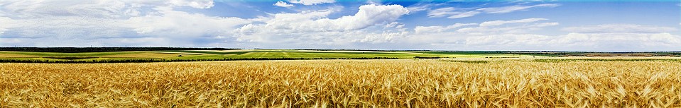 © anjun - Fotolia.com