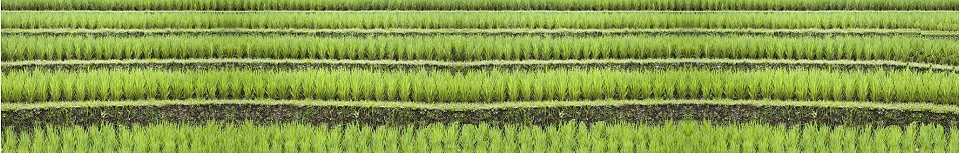 © erikdegraaf - Fotolia.com